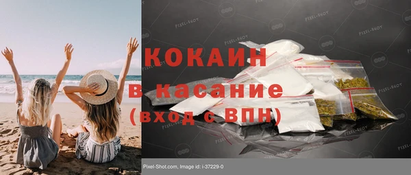 дмт Богданович