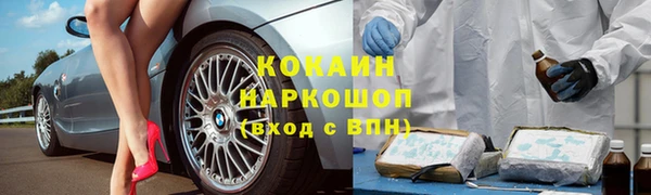прущие грибы Белоозёрский