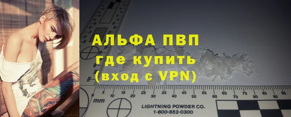 дмт Богданович