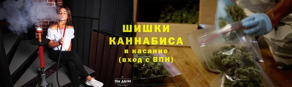 молекула духа Богородицк