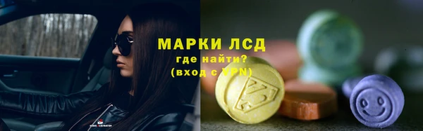 гидра Снежногорск