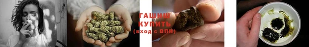 дмт Богданович