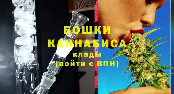 молекула духа Богородицк