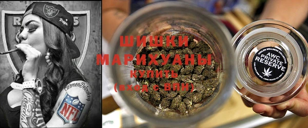 бошки Белокуриха