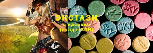 дмт Богданович