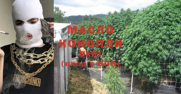 дмт Богданович