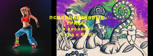 дмт Богданович