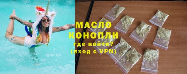 молекула духа Богородицк