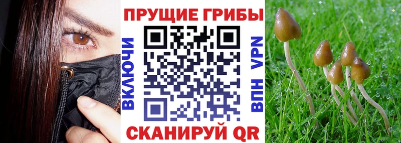 Галлюциногенные грибы MAGIC MUSHROOMS  Воскресенск 